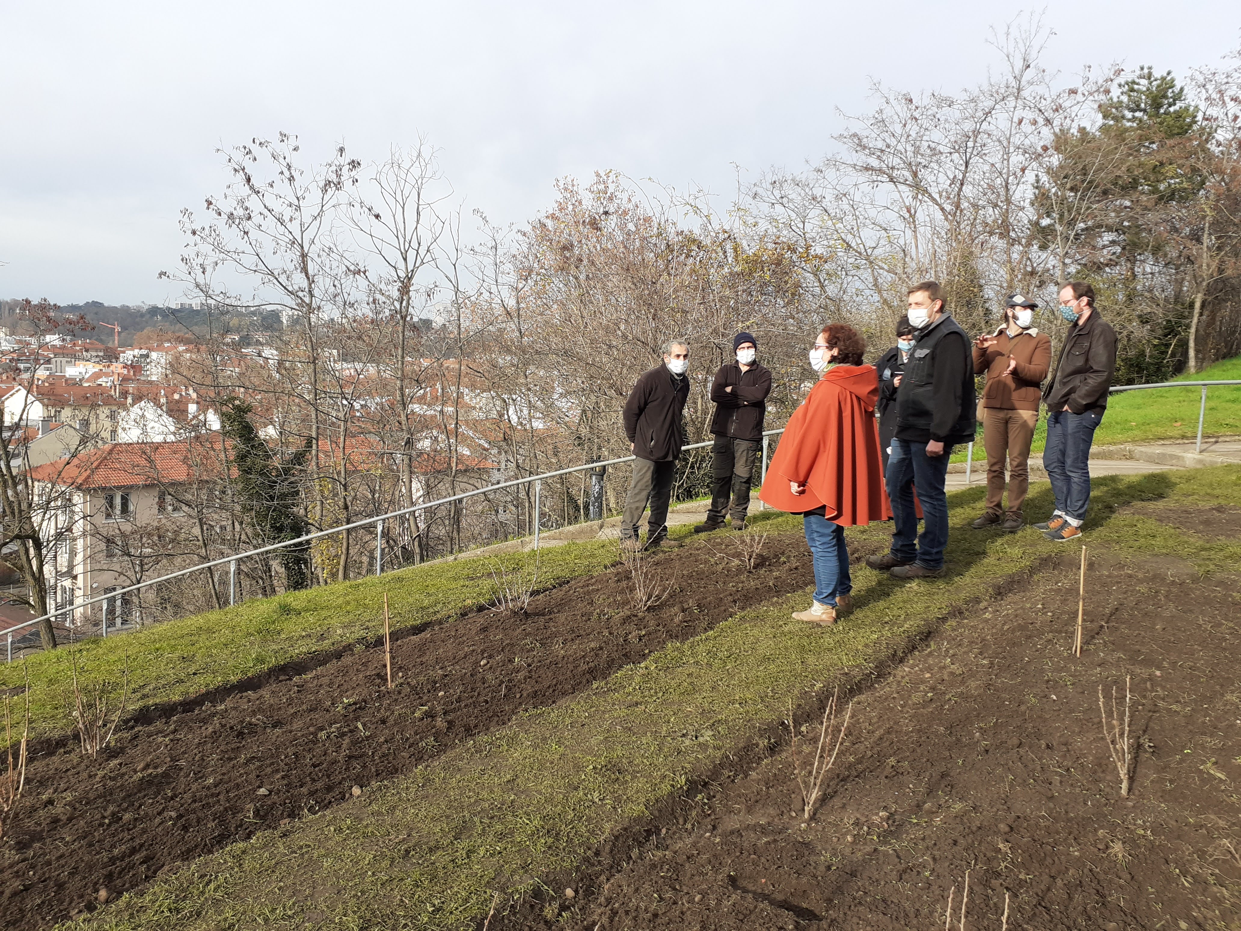 Visite verger urbain du 9e - 2 