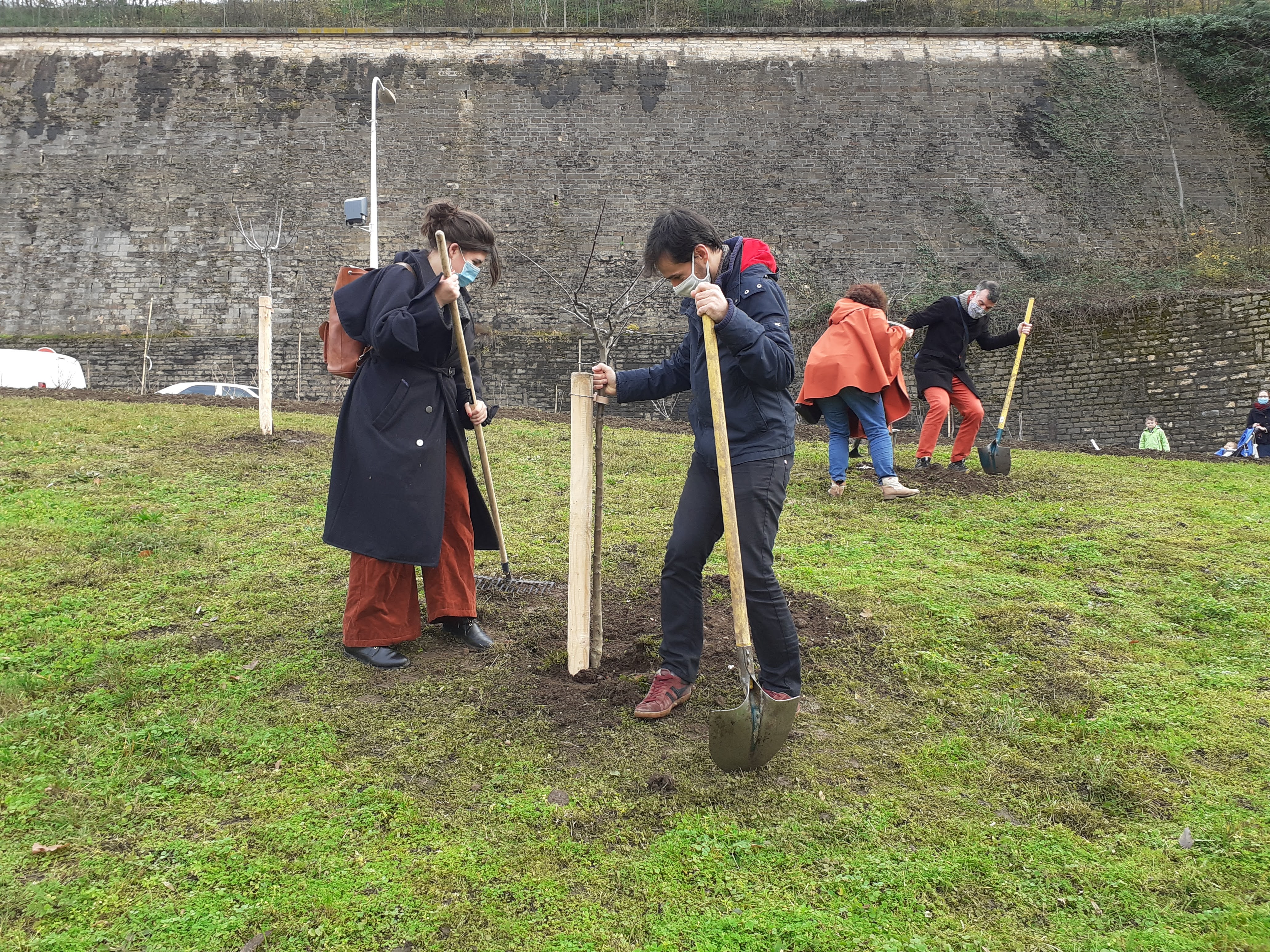 Plantation verger urbain du 9e - 3 