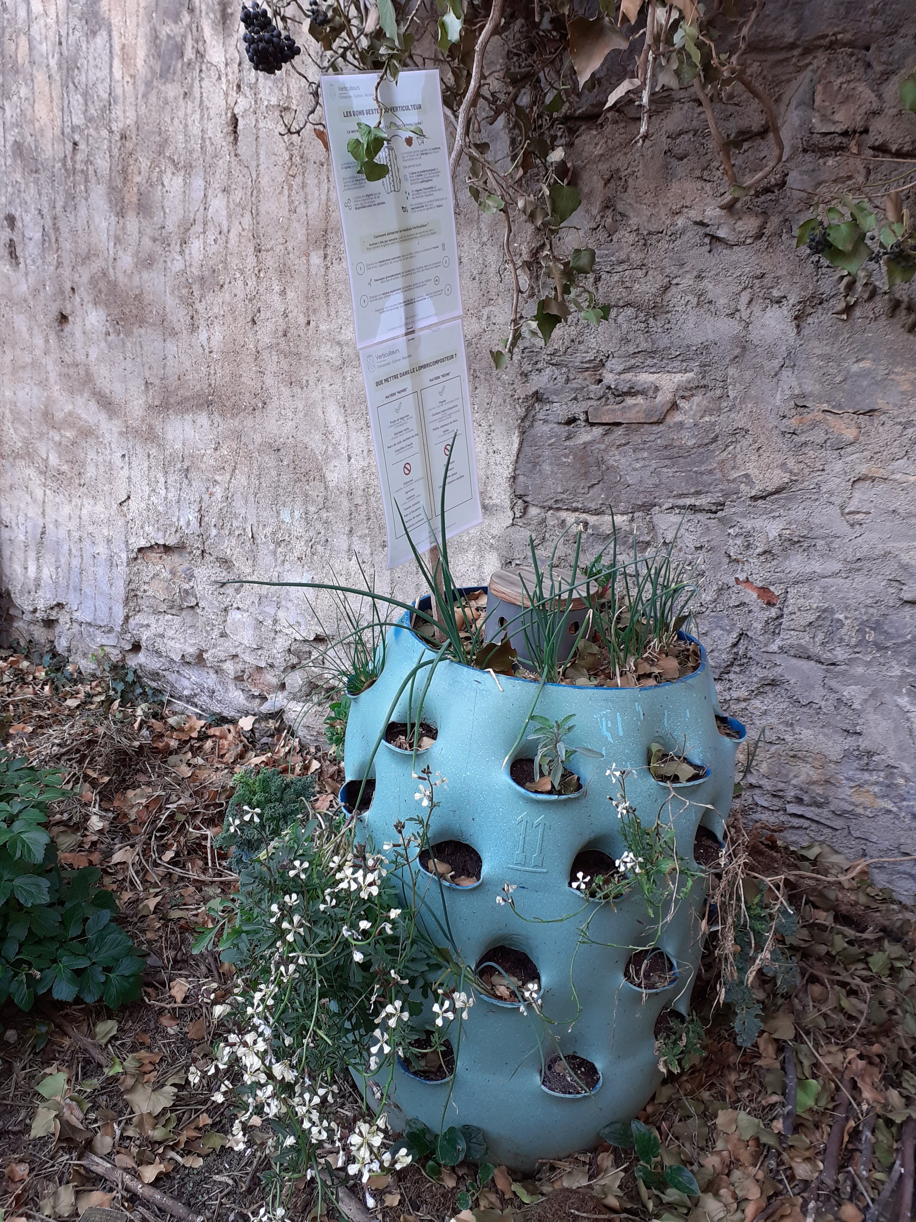 Lombricomposteur-potager - 5 