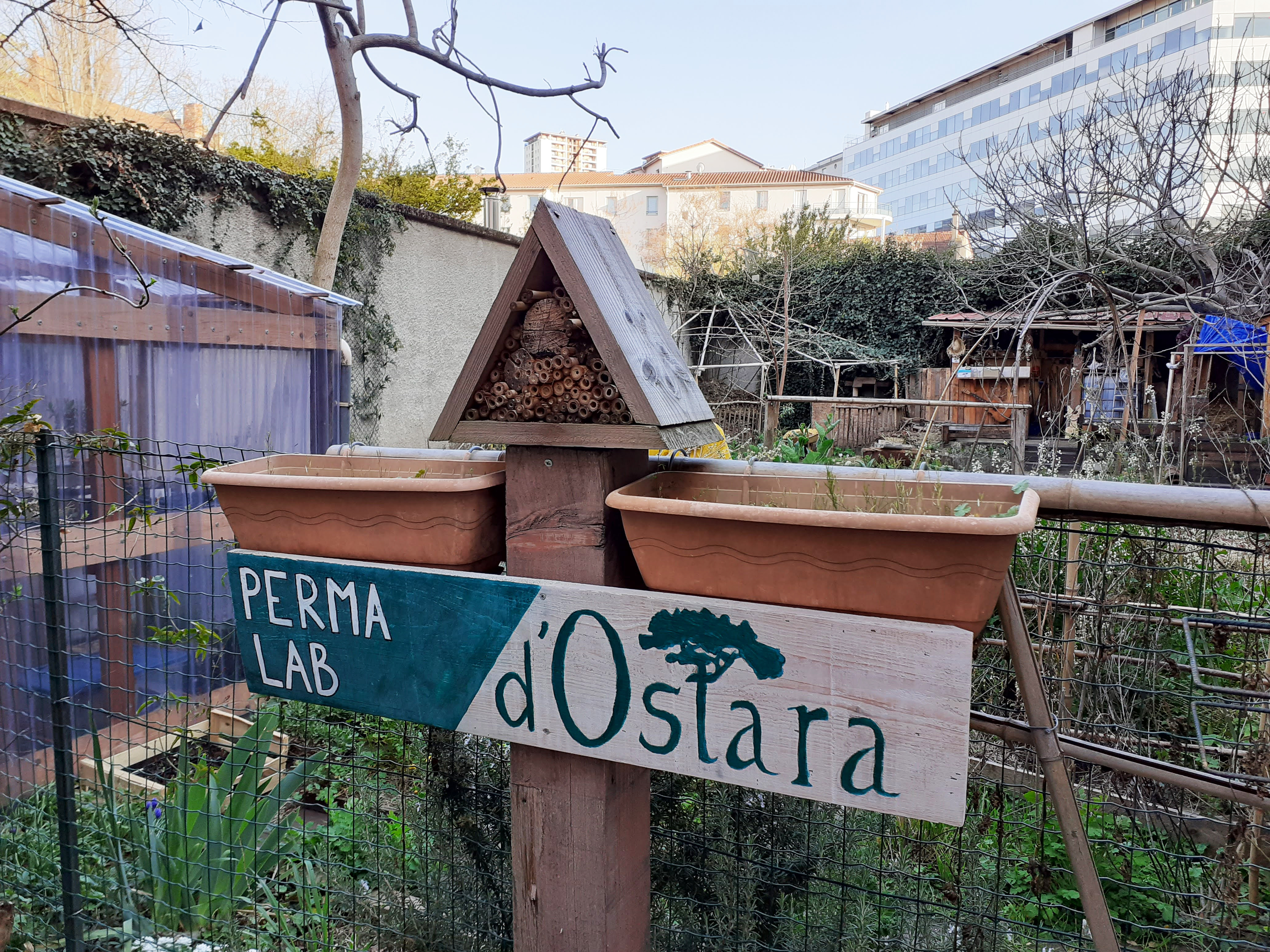 Permalab d'Ostara - 1 